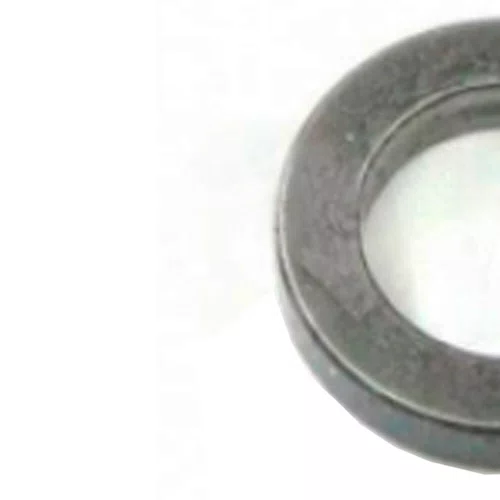 Anel 10 - 257291-6 - Makita