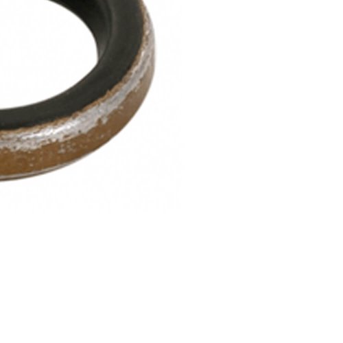 Anel Elástico para DW257-B2 - 696534-00 - Dewalt