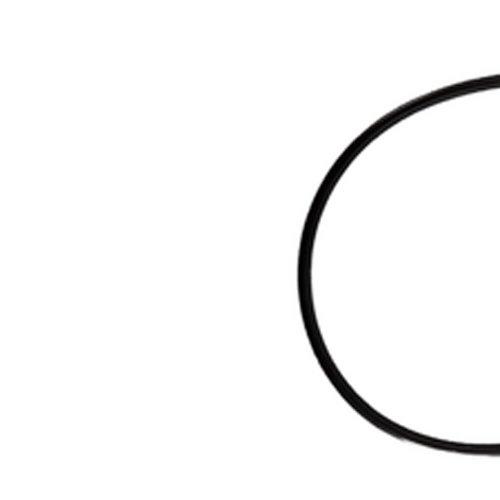 Anel O' Ring 1.1mm x 44.6mm - N134472 - Dewalt