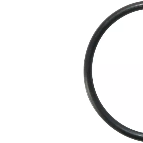 Anel O' Ring 22 x 1.5 - A0200-0241 - Makita