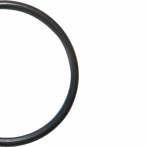 Anel O' Ring 22 x 1.5 - A0200-0241 - Makita