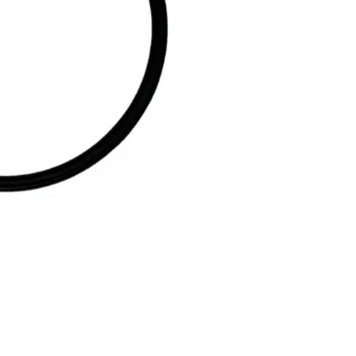 Anel O' Ring 47.29 x 2.62 2525A - 70020314 - Wap
