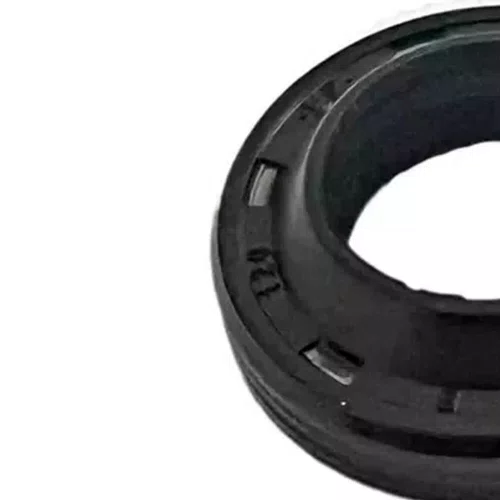 Anel Raspador 12 x 20 x 4/6 - 63653930 - Karcher