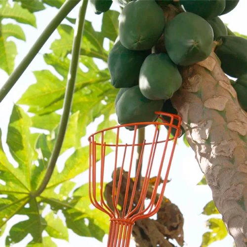 Coletor de Frutas FT-20750 - Trapp
