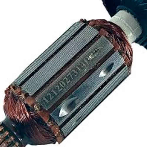 Induzido 220 - 240V - 1619P08212 - Bosch