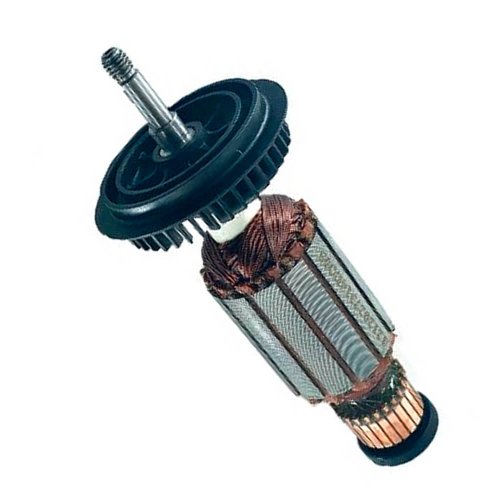 Induzido 220 - 240V - 1619P08212 - Bosch