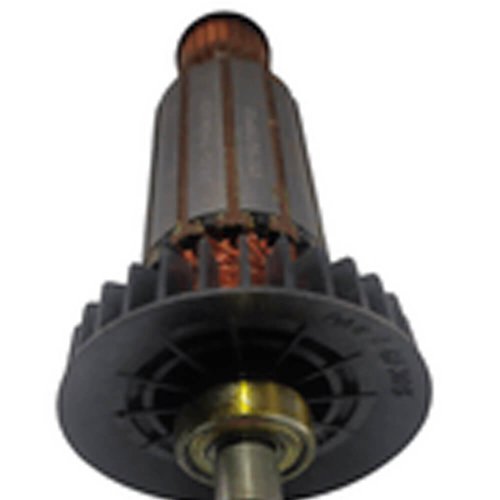Induzido para Martelete SDS-Plus Skil 127V 1759 – F000607035