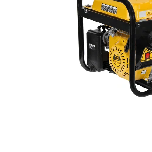 Motogerador de Energia à Gasolina Monofásico BFG 3100 - Buffalo