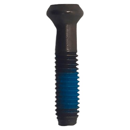 Parafuso - 5103096-01 - Dewalt