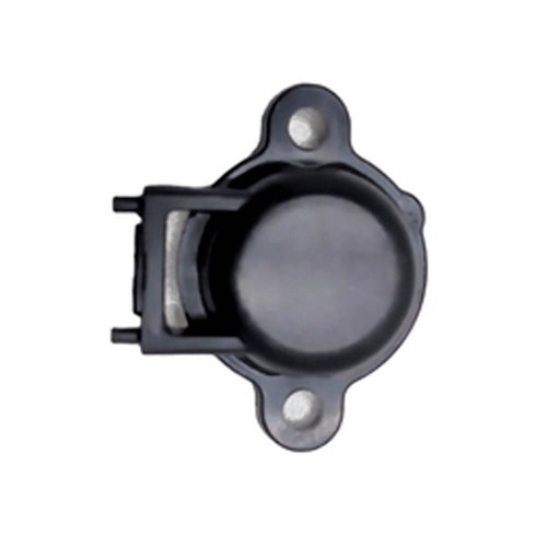 Protetor do Rolamento - N467131 - Dewalt