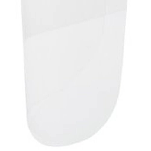 Protetor Facial 10" Incolor com Catraca - Delta Plus