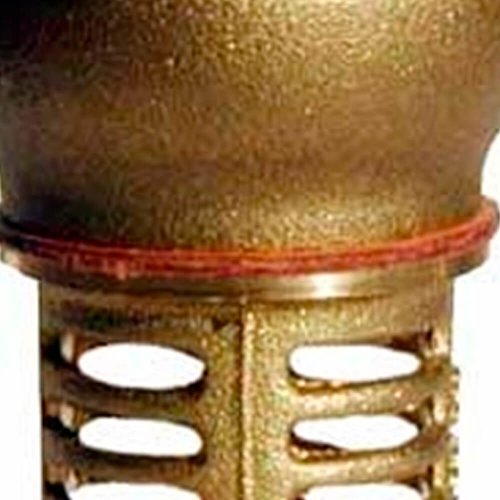 Válvula de Pé com Crivo VP-1 - Ferrari