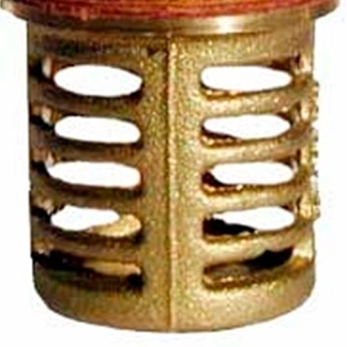 Válvula de Pé com Crivo VP-1 - Ferrari