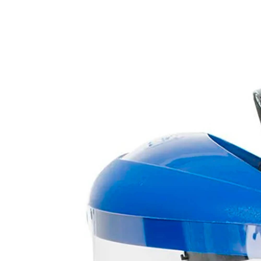 Protetor Facial 8" com Catraca Incolor - WPSJABREC08 - Delta Plus