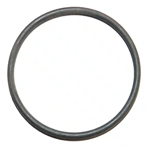 Anel O' Ring - 1610210100 - Bosch