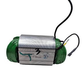 Conjunto Estator/ Bobina 220V - NA143113 - Dewalt