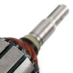 Induzido/ Rotor 220V 