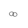 Anel O Ring 15,0 x 1,0  para HD585 - Karcher