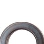 Anel Retenção - N502900 - Dewalt