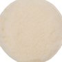 Boné de Pele 130mm 5" para PEX125/115/12 GEX125 - Bosch