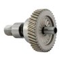 Conjunto Eixo e Engrenagem - N080726 - Dewalt