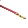 Conjunto Escova de Carvão e Porta Escova 220V (Unidade) - N372301 - Dewalt