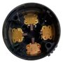 Conjunto Escova de Carvão para DCF889 - N412223 - Dewalt
