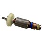 Conjunto Induzido 127V - 5140167-10 - Dewalt
