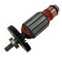 Conjunto Induzido com Rolamento 220V para DWE560 - N083582S - Dewalt