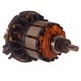 Conjunto Induzido/ Rotor e Pinhão - N342259 - Dewalt