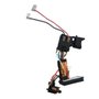 Conjunto Interruptor para DCF889 - N414109 - Dewalt