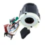 Conjunto Módulo e Estator/ Bobina - N548541 - Dewalt