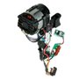 Conjunto Motor/ Interruptor Brushless 20V - N481825 - Dewalt