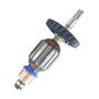 Conjunto Rotor/ Induzido para D25892 220V - N580509 - Dewalt