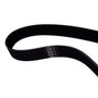 Correia para DWS780/DW718 - 153555-00 - Dewalt