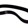Correia para DWS780/DW718 - 153555-00 - Dewalt