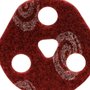 Disco Avos Médio Bear-Tex 115x22 - Norton