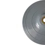 Disco de Borracha Rígido 7" Cinza com Velcro e Sem Porca - Profix