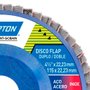 Disco Flap Evolution R822 115 x 22 #120 - Norton