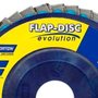 Disco Flap Evolution R822 115 x 22 #80 - Norton