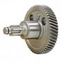 Engrenagem para D25501-B2 - N041841 - Dewalt