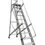 Escada Plataforma Trepadeira 9 Degraus 2,50m - Real Escadas