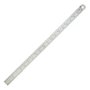 Escala de Aço Inox 300mm - 112.0002 - Zaas