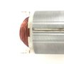 Estator/ Bobina 127V - N484689 - Dewalt