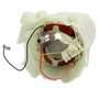 Estator/ Bobina 220V e Caixa de Campo para D25980 - 496846-01 - Dewalt