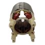 Estator/ Bobina 220V para GA4540/GA5040 - 626648-6 - Makita