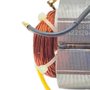 Estator Bobina 220V para Serra DWE560 - N221294 - Dewalt