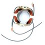 Estator para Serra Circular 110V - 596286-7 - Makita