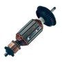 Induzido 220 - 240V - 1619P08212 - Bosch
