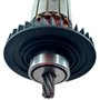 Induzido 220V para Serra Circular - 1619P10350 - Bosch